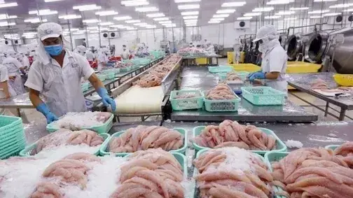 Xuất khẩu thủy sản hướng tới mốc 11 tỷ USD năm 2025